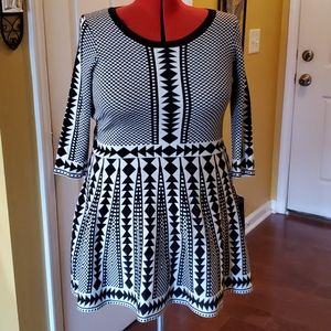 Flare Sweater Dress